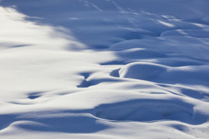 Finland, Lapland, winter, snow cover, detail Finland, Lapland, winter, snow cover, detail